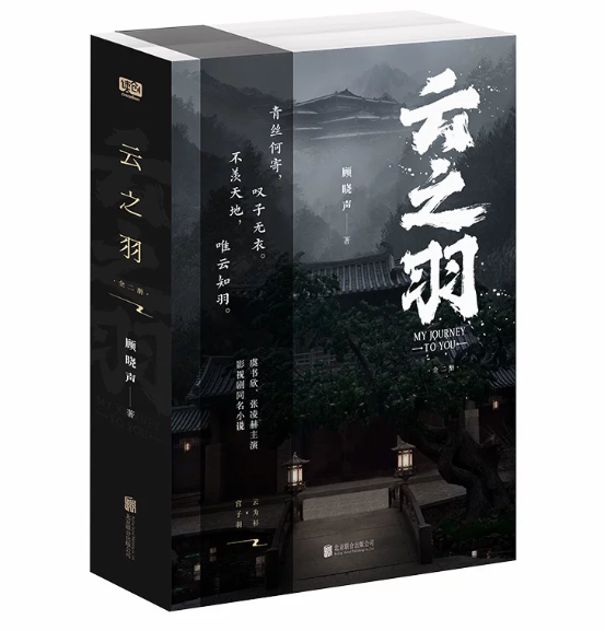 My Journey to You – chinesischer Roman im zweibändigen Schuber mit Poster & 5 Charakterkarten 🇨🇳 – Bild 2