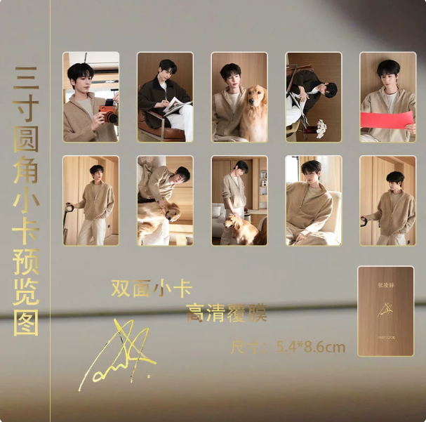 Zhang Linghe – 15-teiliges Karten-Set im Cozy-Home-Look mit Golden Retriever 🇨🇳 – Bild 2