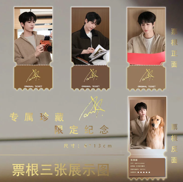 Zhang Linghe – 15-teiliges Karten-Set im Cozy-Home-Look mit Golden Retriever 🇨🇳 – Bild 3