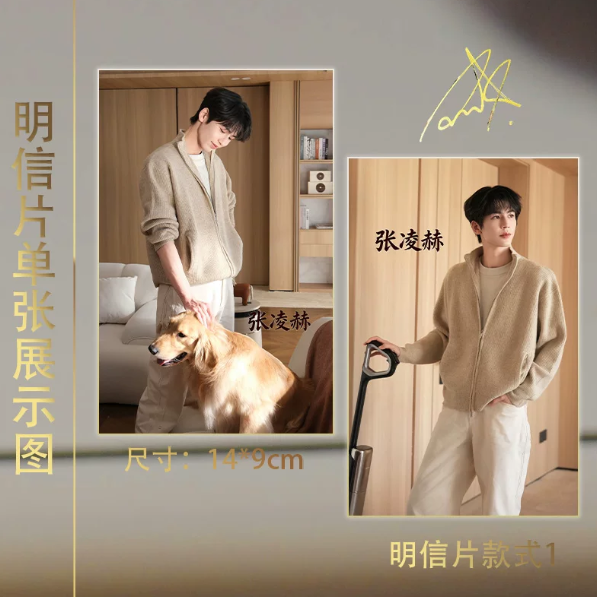 Zhang Linghe – 15-teiliges Karten-Set im Cozy-Home-Look mit Golden Retriever 🇨🇳 – Bild 4