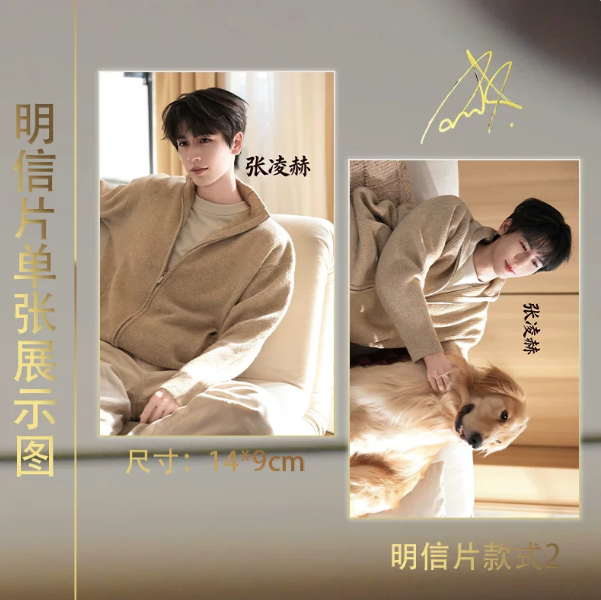Zhang Linghe – 15-teiliges Karten-Set im Cozy-Home-Look mit Golden Retriever 🇨🇳 – Bild 5