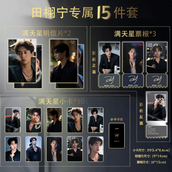 Revenged Love – Tian Xuning 15-teiliges Kartenset im Dark-Elegance-Look 🇨🇳