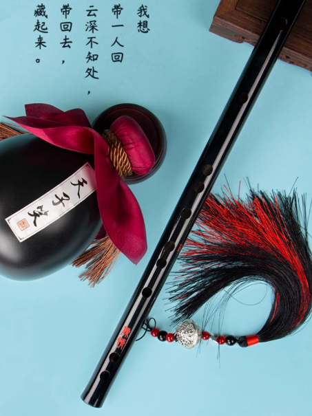 The Untamed Chenqing – spielbare F-Dizi mit umfangreichem Lernset 🇨🇳 – Bild 3