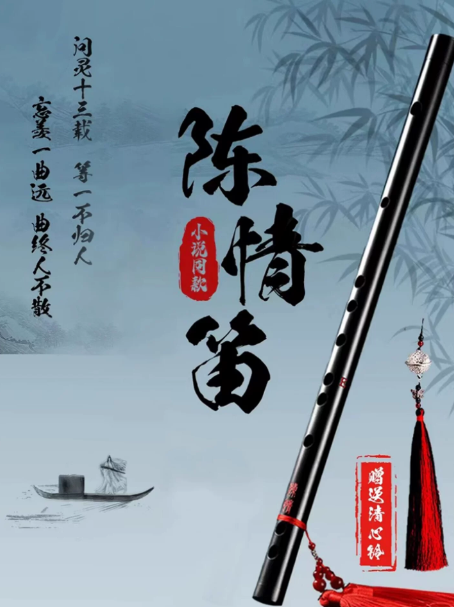 The Untamed Chenqing – spielbare F-Dizi mit umfangreichem Lernset 🇨🇳 – Bild 4