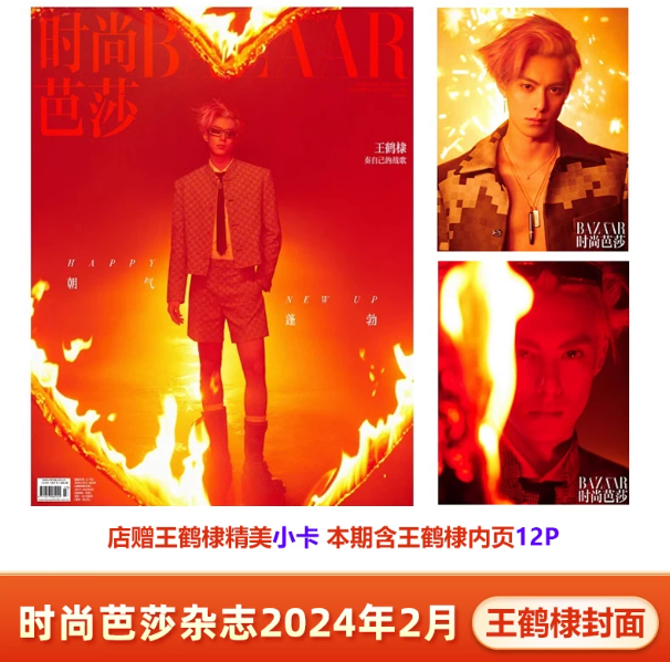 Harper’s BAZAAR China Februar 2024 – Dylan Wang – Magazin mit Fotokarte 🇨🇳