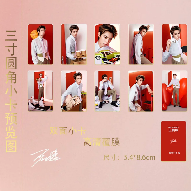 Dylan Wang alias Wang Hedi – inspiriertes 15-teiliges Kartenset mit rot-rosa Fashionmotiven 🇨🇳 – Bild 2