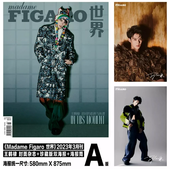 Madame Figaro China März 2023 – Dylan Wang – C-Version mit 3 Magazinen und 6 Postern 🇨🇳 – Bild 2