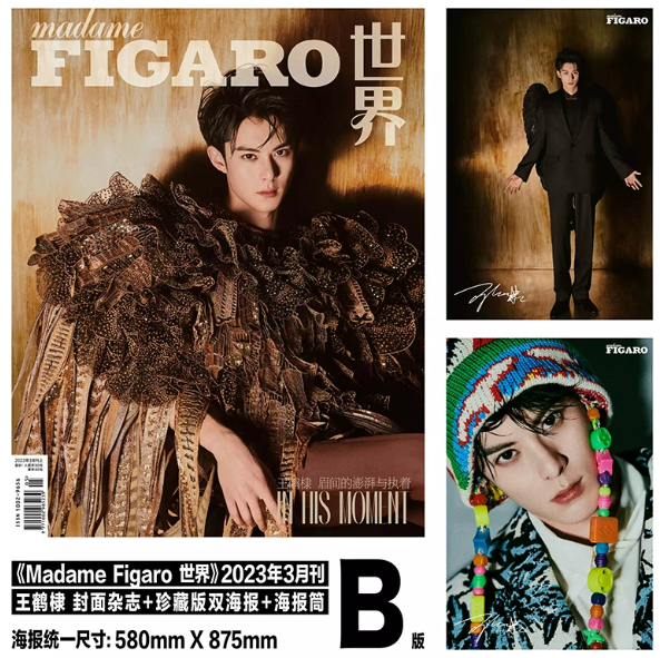 Madame Figaro China März 2023 – Dylan Wang – C-Version mit 3 Magazinen und 6 Postern 🇨🇳 – Bild 3