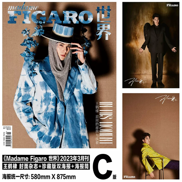Madame Figaro China März 2023 – Dylan Wang – C-Version mit 3 Magazinen und 6 Postern 🇨🇳 – Bild 4