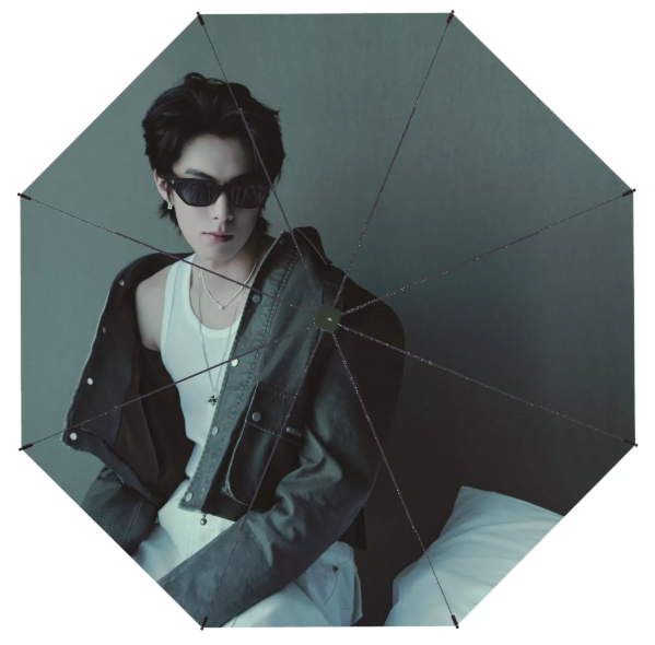 Dylan Wang – großer automatischer Sonnen- und Regenschirm mit Fotomotiv – 105 cm 🇨🇳