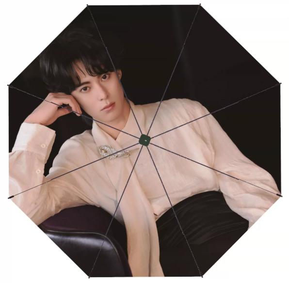 Dylan Wang – großer automatischer Sonnen- und Regenschirm mit Fotomotiv – 105 cm 🇨🇳