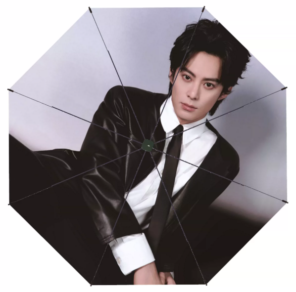 Dylan Wang – großer automatischer Sonnen- und Regenschirm mit Fotomotiv – 105 cm 🇨🇳